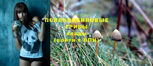 jwh Белокуриха